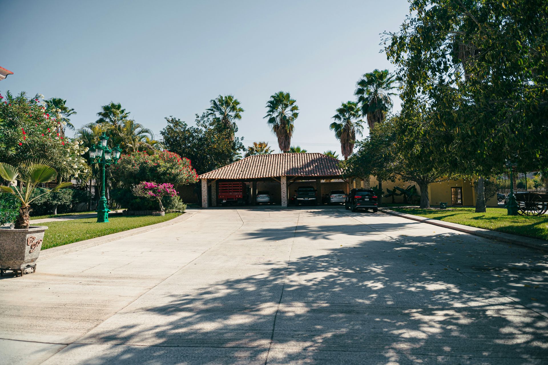 A driveway leads to a house with palm trees.